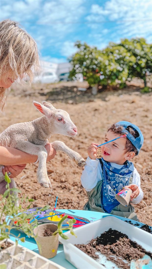 Menino a fazer festas a um cordeiro durante um playdate